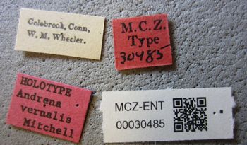Media type: image;   Entomology 30485 Aspect: labels